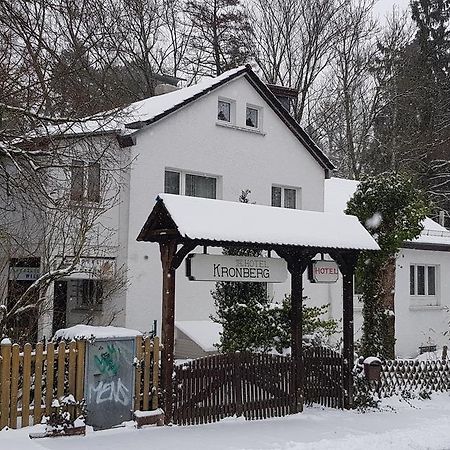 Hotel Kronberg Kronberg im Taunus Exteriér fotografie